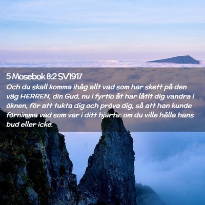 Picture 02 - 5 Mosebok 8:2 SV1917 - Och du skall komma ihåg allt vad som har skett - Bible Verse Picture