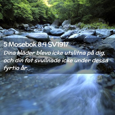 Picture 02 - 5 Mosebok 8:4 SV1917 - Dina kläder blevo icke utslitna på dig, och din - Bible Verse Picture