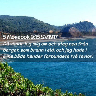 Picture 02 - 5 Mosebok 9:15 SV1917 - Då vände jag mig om och steg ned från berget, - Bible Verse Picture