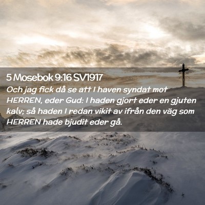 Picture 02 - 5 Mosebok 9:16 SV1917 - Och jag fick då se att I haven syndat mot - Bible Verse Picture