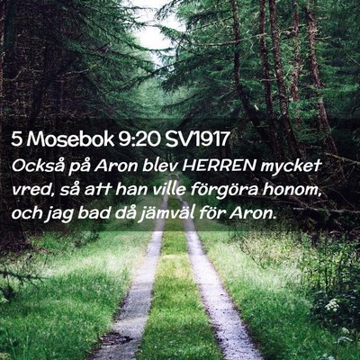 Picture 02 - 5 Mosebok 9:20 SV1917 - Också på Aron blev HERREN mycket vred, så att - Bible Verse Picture