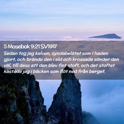 Picture 02 - 5 Mosebok 9:21 SV1917 - Sedan tog jag kalven, syndabelätet som I haden - Bible Verse Picture