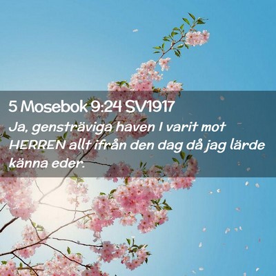 Picture 02 - 5 Mosebok 9:24 SV1917 - Ja, gensträviga haven I varit mot HERREN allt - Bible Verse Picture