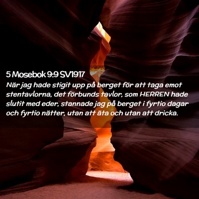 Picture 02 - 5 Mosebok 9:9 SV1917 - När jag hade stigit upp på berget för att taga - Bible Verse Picture