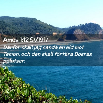 Picture 02 - Amos 1:12 SV1917 - Därför skall jag sända en eld mot Teman, och - Bible Verse Picture