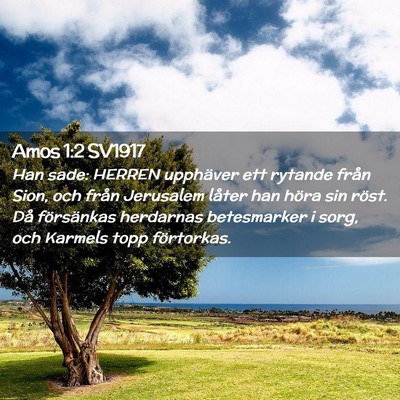 Picture 02 - Amos 1:2 SV1917 - Han sade: HERREN upphäver ett rytande från - Bible Verse Picture