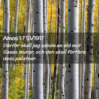 Picture 02 - Amos 1:7 SV1917 - Därför skall jag sända en eld mot Gasas murar, - Bible Verse Picture