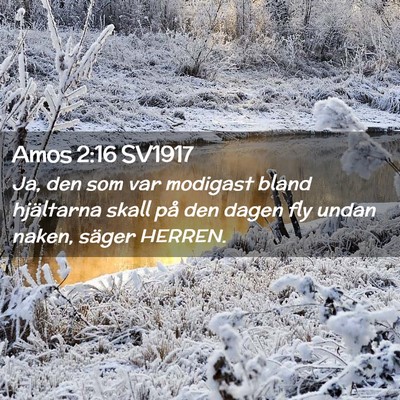 Picture 02 - Amos 2:16 SV1917 - Ja, den som var modigast bland hjältarna skall - Bible Verse Picture