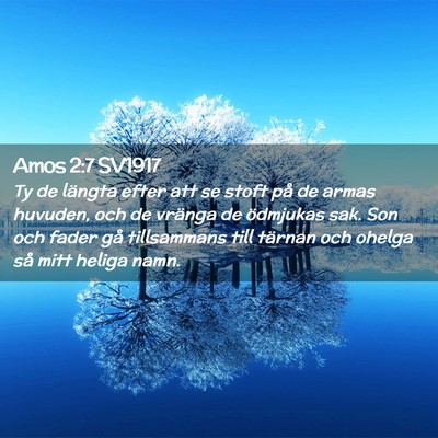 Picture 02 - Amos 2:7 SV1917 - Ty de längta efter att se stoft på de armas - Bible Verse Picture
