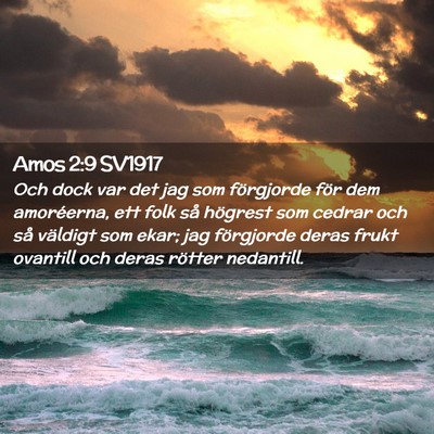 Picture 02 - Amos 2:9 SV1917 - Och dock var det jag som förgjorde för dem - Bible Verse Picture