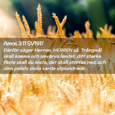 Picture 02 - Amos 3:11 SV1917 - Därför säger Herren, HERREN så: Trångmål - Bible Verse Picture
