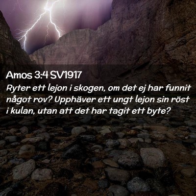 Picture 02 - Amos 3:4 SV1917 - Ryter ett lejon i skogen, om det ej har funnit - Bible Verse Picture