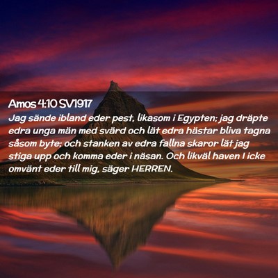 Picture 02 - Amos 4:10 SV1917 - Jag sände ibland eder pest, likasom i Egypten; - Bible Verse Picture