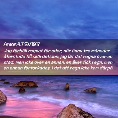 Picture 02 - Amos 4:7 SV1917 - Jag förhöll regnet för eder, när ännu tre - Bible Verse Picture