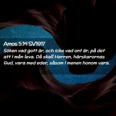 Picture 02 - Amos 5:14 SV1917 - Söken vad gott är, och icke vad ont är, på - Bible Verse Picture