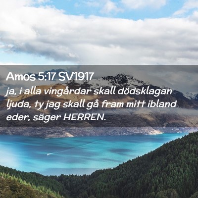 Picture 02 - Amos 5:17 SV1917 - ja, i alla vingårdar skall dödsklagan ljuda, ty - Bible Verse Picture