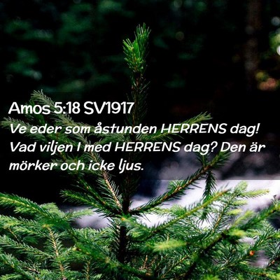Picture 02 - Amos 5:18 SV1917 - Ve eder som åstunden HERRENS dag! Vad viljen I - Bible Verse Picture
