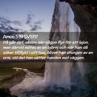 Picture 02 - Amos 5:19 SV1917 - Då går det, såsom när någon flyr för ett - Bible Verse Picture