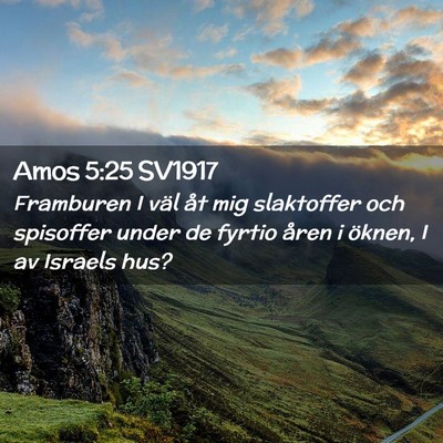 Picture 02 - Amos 5:25 SV1917 - Framburen I väl åt mig slaktoffer och spisoffer - Bible Verse Picture
