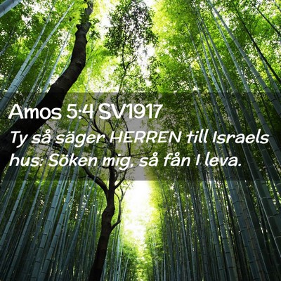Picture 02 - Amos 5:4 SV1917 - Ty så säger HERREN till Israels hus: Söken - Bible Verse Picture