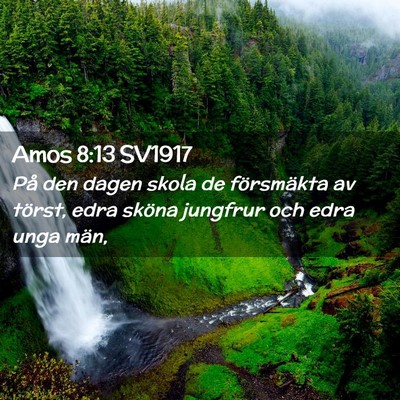 Picture 02 - Amos 8:13 SV1917 - På den dagen skola de försmäkta av törst, - Bible Verse Picture