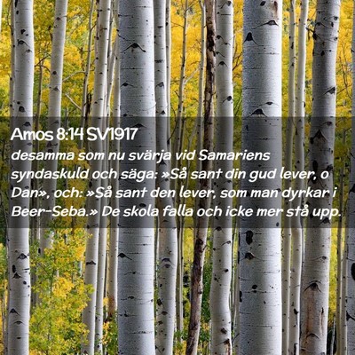 Picture 02 - Amos 8:14 SV1917 - desamma som nu svärja vid Samariens syndaskuld - Bible Verse Picture