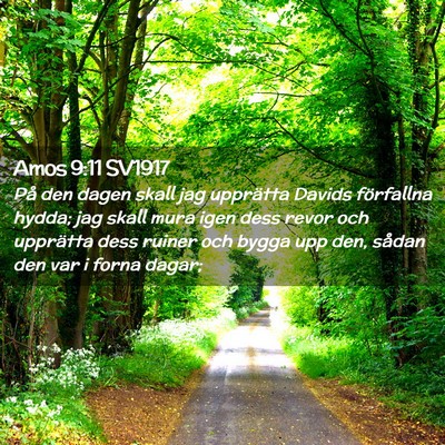 Picture 02 - Amos 9:11 SV1917 - På den dagen skall jag upprätta Davids - Bible Verse Picture