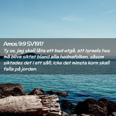Picture 02 - Amos 9:9 SV1917 - Ty se, jag skall låta ett bud utgå, att Israels - Bible Verse Picture