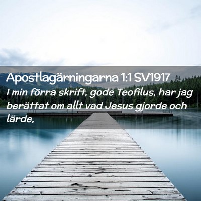 Picture 02 - Apostlagärningarna 1:1 SV1917 - I min förra skrift, gode Teofilus, har jag - Bible Verse Picture
