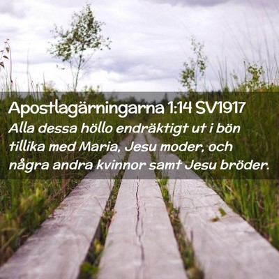 Picture 02 - Apostlagärningarna 1:14 SV1917 - Alla dessa höllo endräktigt ut i bön tillika - Bible Verse Picture