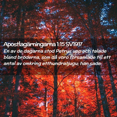 Picture 02 - Apostlagärningarna 1:15 SV1917 - En av de dagarna stod Petrus upp och talade bland - Bible Verse Picture