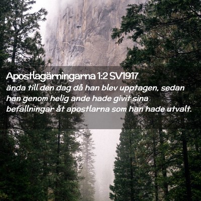 Picture 02 - Apostlagärningarna 1:2 SV1917 - ända till den dag då han blev upptagen, sedan - Bible Verse Picture