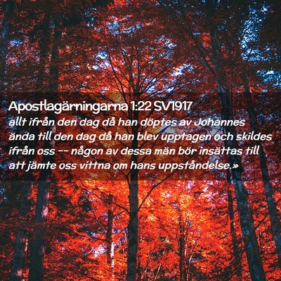 Picture 02 - Apostlagärningarna 1:22 SV1917 - allt ifrån den dag då han döptes av Johannes - Bible Verse Picture