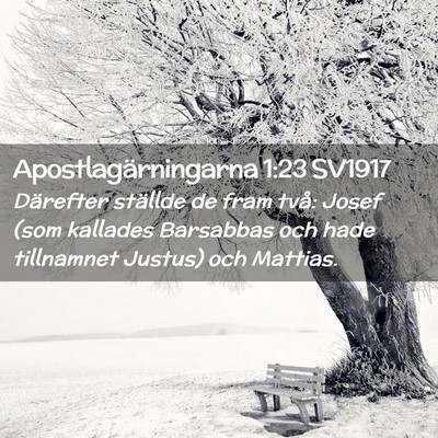 Picture 02 - Apostlagärningarna 1:23 SV1917 - Därefter ställde de fram två: Josef (som - Bible Verse Picture