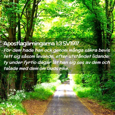 Picture 02 - Apostlagärningarna 1:3 SV1917 - För dem hade han ock genom många säkra bevis - Bible Verse Picture