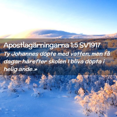 Picture 02 - Apostlagärningarna 1:5 SV1917 - Ty Johannes döpte med vatten, men få dagar - Bible Verse Picture