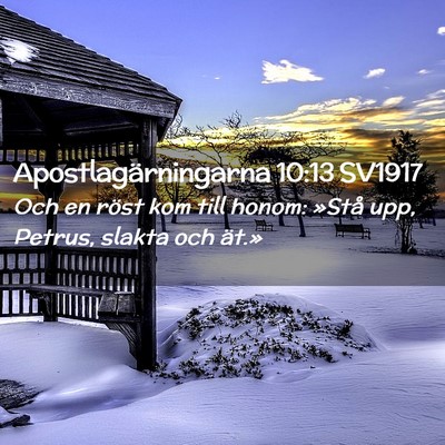 Picture 02 - Apostlagärningarna 10:13 SV1917 - Och en röst kom till honom: »Stå upp, Petrus, - Bible Verse Picture