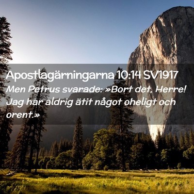 Picture 02 - Apostlagärningarna 10:14 SV1917 - Men Petrus svarade: »Bort det, Herre! Jag har - Bible Verse Picture