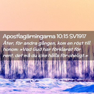 Picture 02 - Apostlagärningarna 10:15 SV1917 - Åter, för andra gången, kom en röst till - Bible Verse Picture