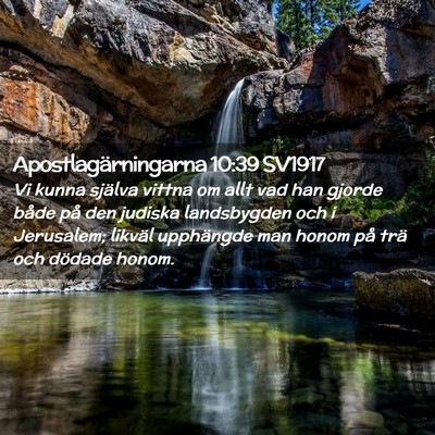 Picture 02 - Apostlagärningarna 10:39 SV1917 - Vi kunna själva vittna om allt vad han gjorde - Bible Verse Picture