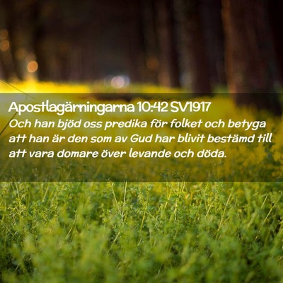 Picture 02 - Apostlagärningarna 10:42 SV1917 - Och han bjöd oss predika för folket och betyga - Bible Verse Picture