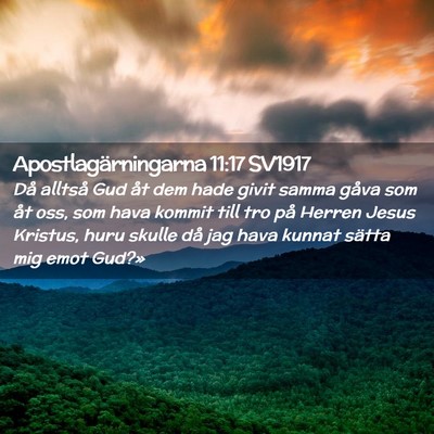 Picture 02 - Apostlagärningarna 11:17 SV1917 - Då alltså Gud åt dem hade givit samma gåva - Bible Verse Picture