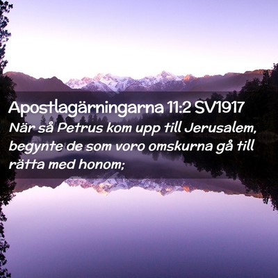 Picture 02 - Apostlagärningarna 11:2 SV1917 - När så Petrus kom upp till Jerusalem, begynte - Bible Verse Picture