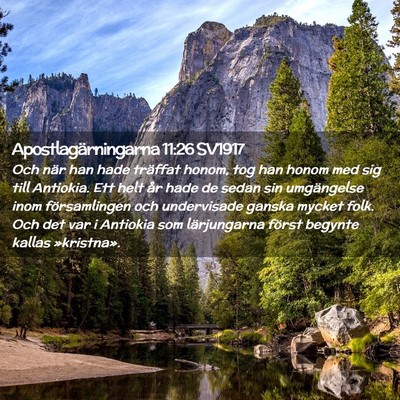 Picture 02 - Apostlagärningarna 11:26 SV1917 - Och när han hade träffat honom, tog han honom - Bible Verse Picture