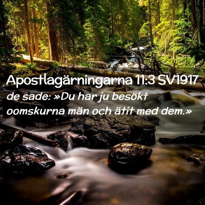 Picture 02 - Apostlagärningarna 11:3 SV1917 - de sade: »Du har ju besökt oomskurna män och - Bible Verse Picture