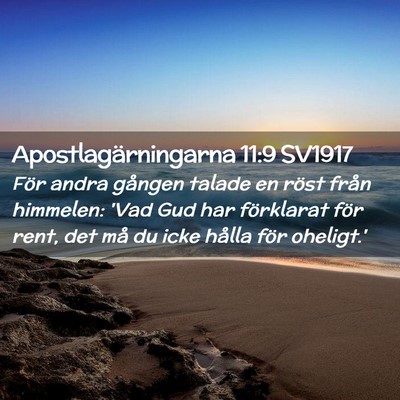 Picture 02 - Apostlagärningarna 11:9 SV1917 - För andra gången talade en röst från - Bible Verse Picture