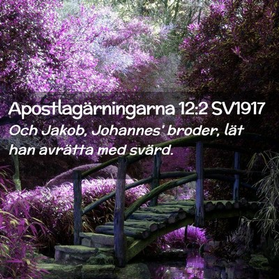 Picture 02 - Apostlagärningarna 12:2 SV1917 - Och Jakob, Johannes' broder, lät han avrätta - Bible Verse Picture