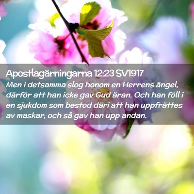 Picture 02 - Apostlagärningarna 12:23 SV1917 - Men i detsamma slog honom en Herrens ängel, - Bible Verse Picture