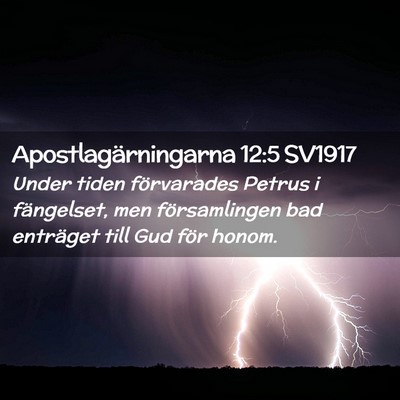 Picture 02 - Apostlagärningarna 12:5 SV1917 - Under tiden förvarades Petrus i fängelset, men - Bible Verse Picture