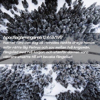 Picture 02 - Apostlagärningarna 12:6 SV1917 - Natten före den dag då Herodes tänkte draga - Bible Verse Picture